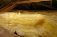Inverdruie pitch roof insulation